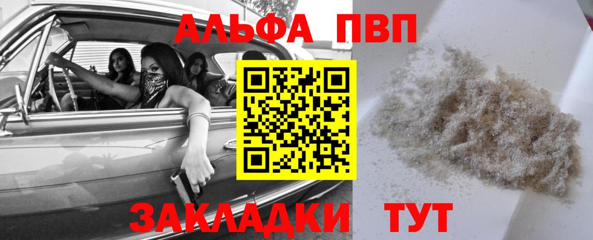 Альфа ПВП СК КРИС Курчалой