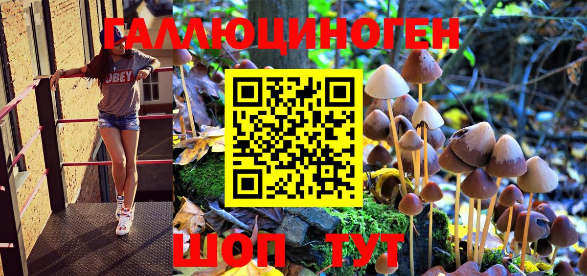 Галлюциногенные грибы мухоморы Курчалой