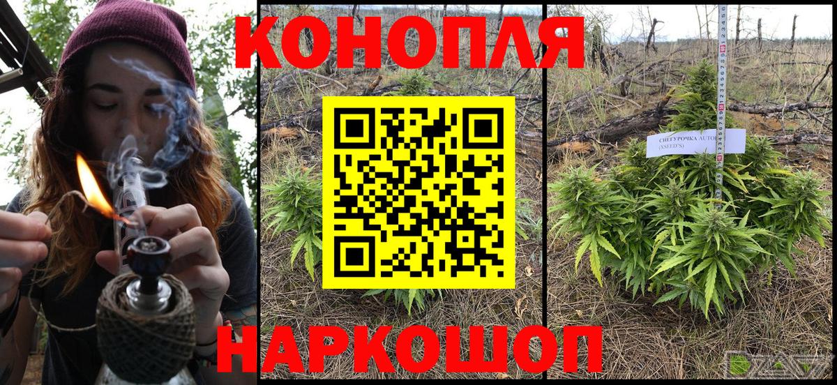 Каннабис индика  Вход с VPN  Шишки марихуана Ganja  Каннабис SATIVA & INDICA  Каннабис сатива  Курчалой 